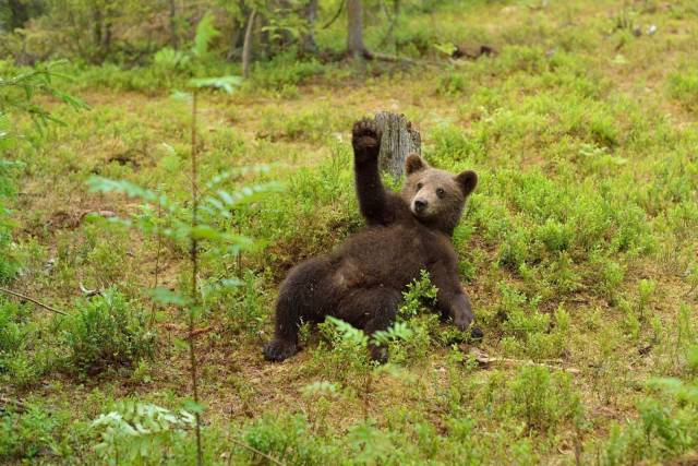 daily picdump 96 pics 29.html - 96 HD Photos | Premium Gallery 2018