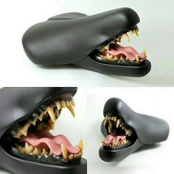 Hard-to-explain WTF Photos