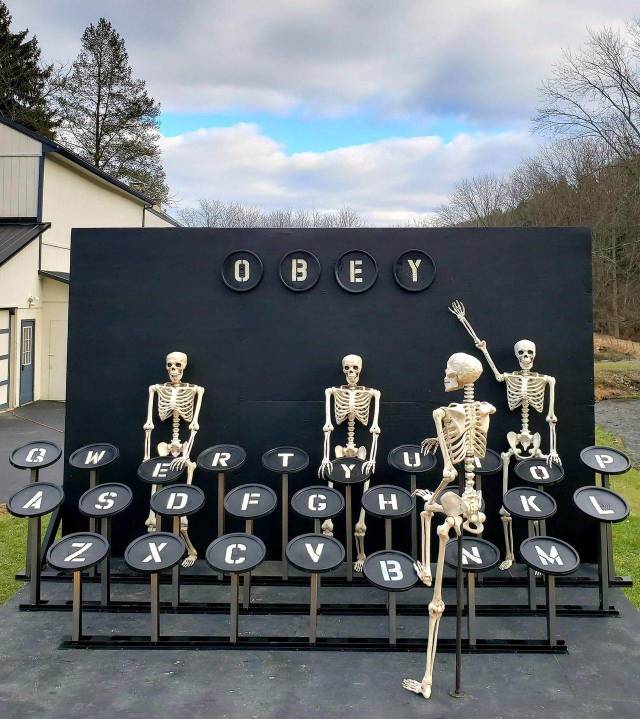 Hard-to-explain WTF Photos