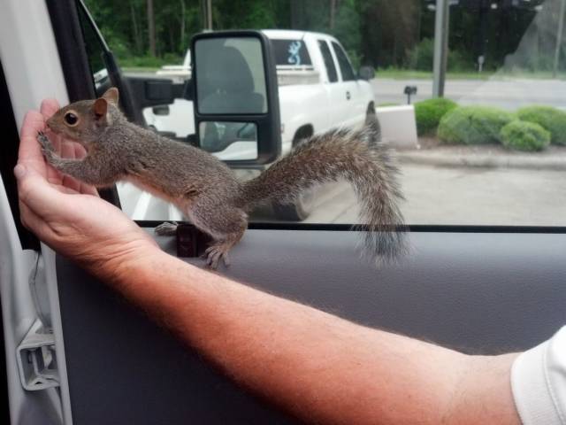 daily picdump 94 pics 41.html - 94 HD Photos | Premium Gallery 2018