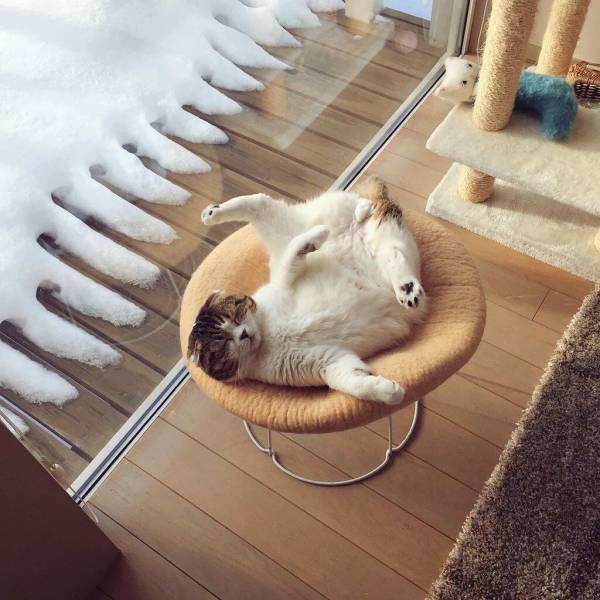 daily picdump 94 pics 41.html - 94 HD Photos | Premium Gallery 2018