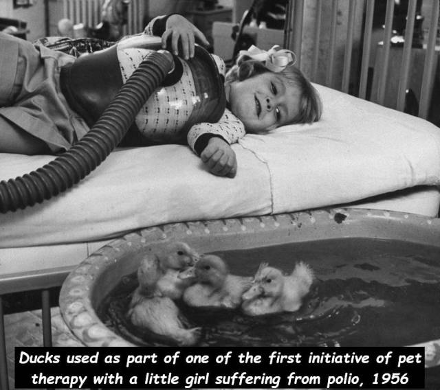 daily picdump 94 pics 41.html - 94 HD Photos | Premium Gallery 2018