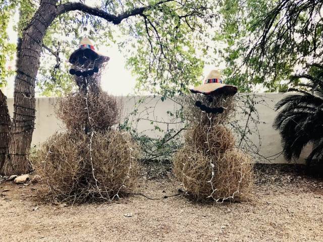 daily picdump 94 pics 41.html - 94 HD Photos | Premium Gallery 2018