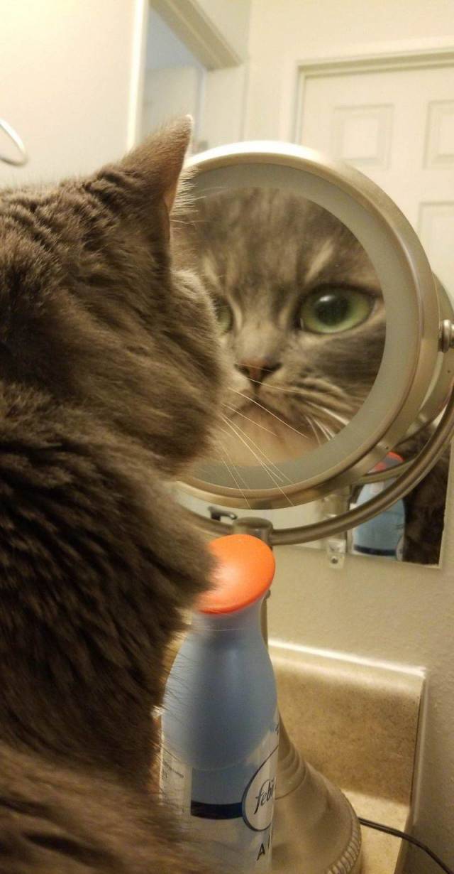 daily picdump 94 pics 41.html - 94 HD Photos | Premium Gallery 2018