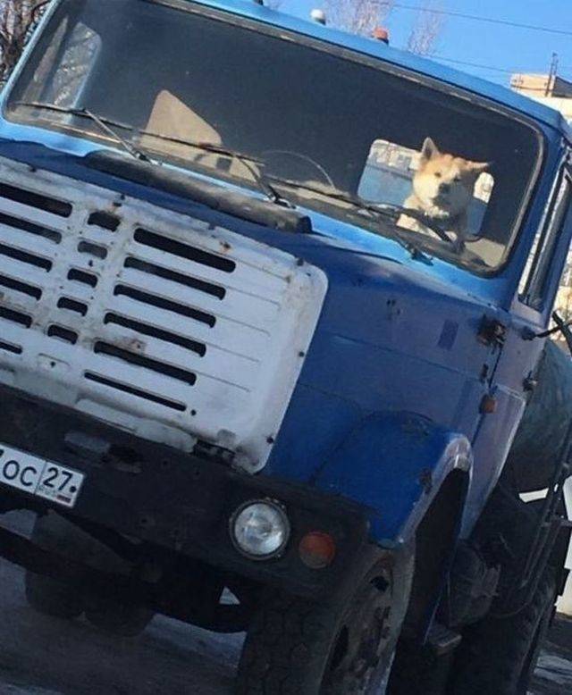 daily picdump 94 pics 41.html - 94 HD Photos | Premium Gallery 2018