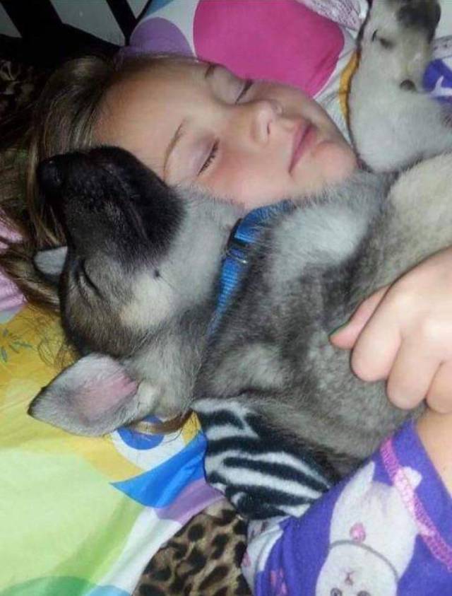 daily picdump 94 pics 41.html - 94 HD Photos | Premium Gallery 2018