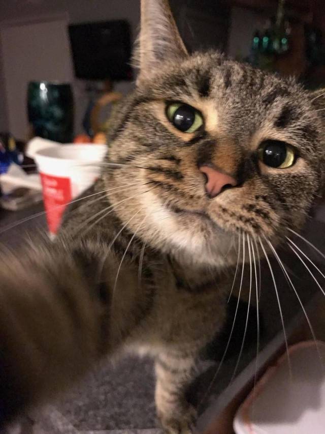 daily picdump 94 pics 41.html - 94 HD Photos | Premium Gallery 2018