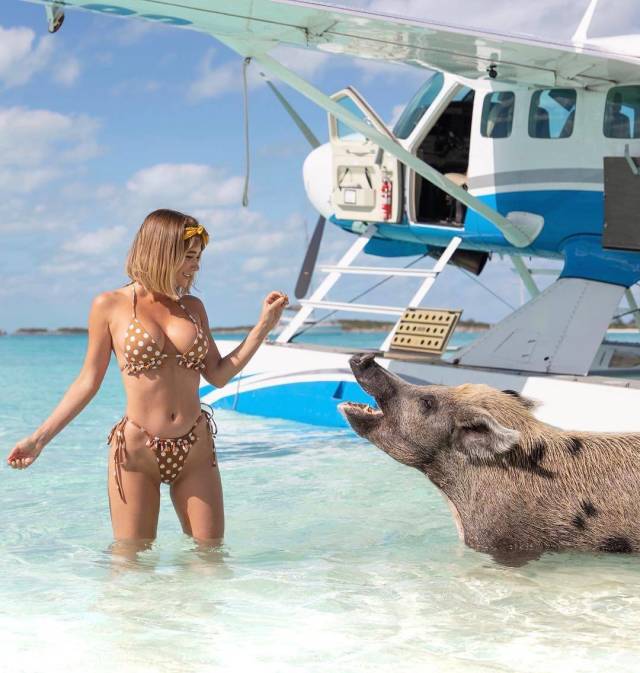 daily picdump 94 pics 41.html - 94 HD Photos | Premium Gallery 2018