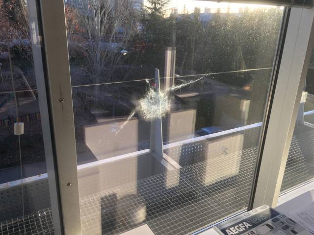 daily picdump 100 pics 31.html - 100 HD Photos | Premium Gallery 2018