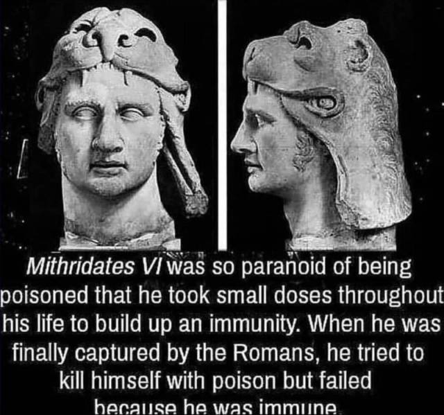 daily picdump 100 pics 31.html - 100 HD Photos | Premium Gallery 2018