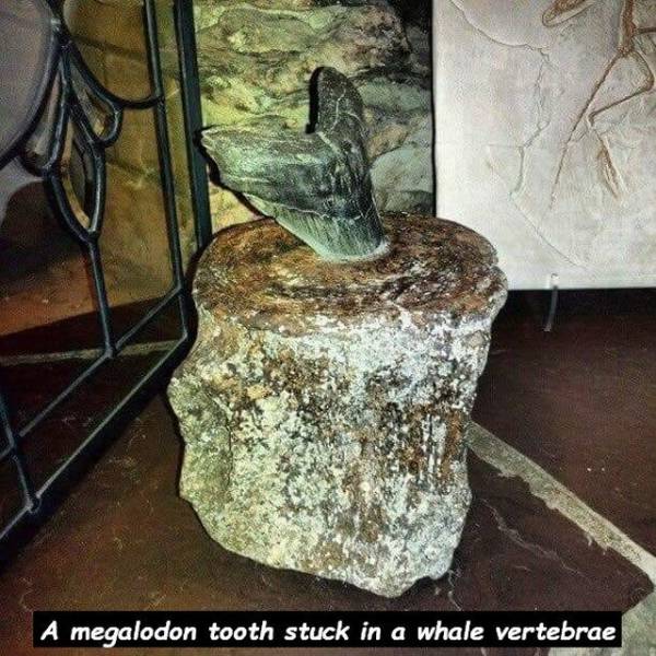 daily picdump 100 pics 31.html - 100 HD Photos | Premium Gallery 2018