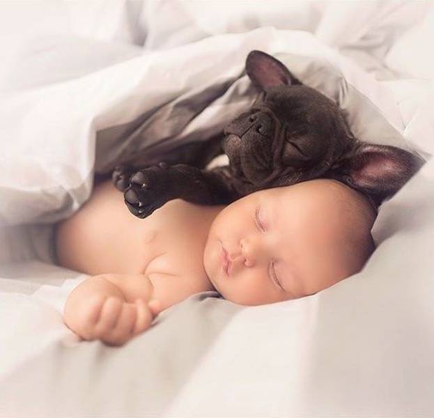 daily picdump 100 pics 31.html - 100 HD Photos | Premium Gallery 2018