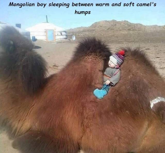 daily picdump 100 pics 31.html - 100 HD Photos | Premium Gallery 2018