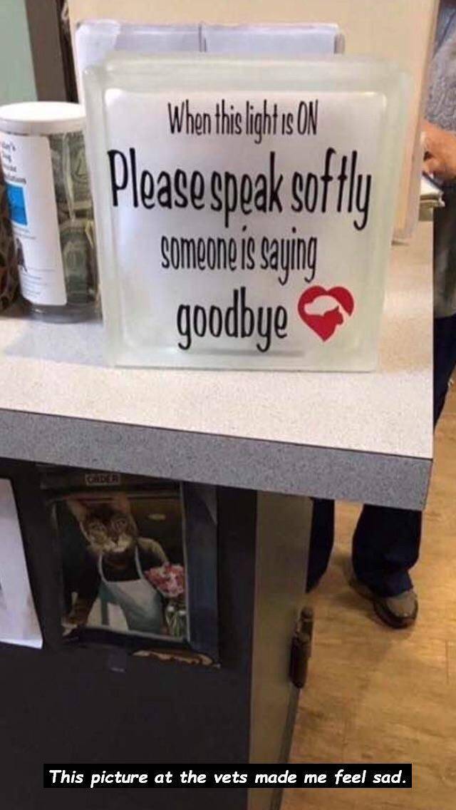 daily picdump 100 pics 31.html - 100 HD Photos | Premium Gallery 2018