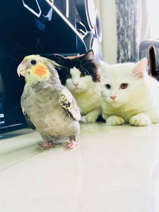 daily picdump 100 pics 31.html - 100 HD Photos | Premium Gallery 2018