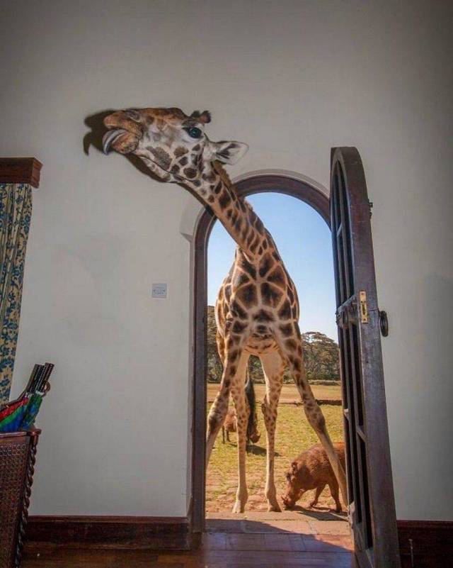 daily picdump 100 pics 31.html - 100 HD Photos | Premium Gallery 2018