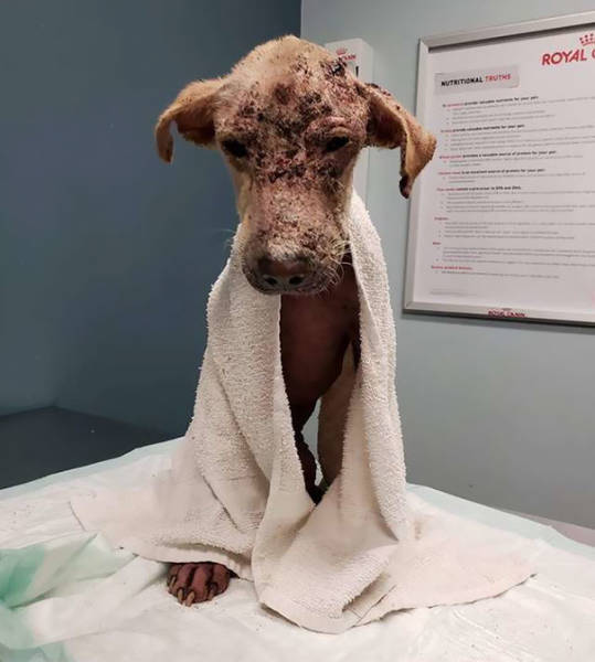 They Thought She Wouldn’t Make It, But She Did!