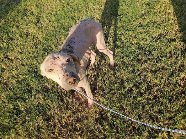 They Thought She Wouldn’t Make It, But She Did!