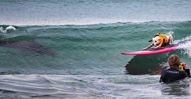 daily picdump 100 pics 28.html - 100 HD Photos | Premium Gallery 2018