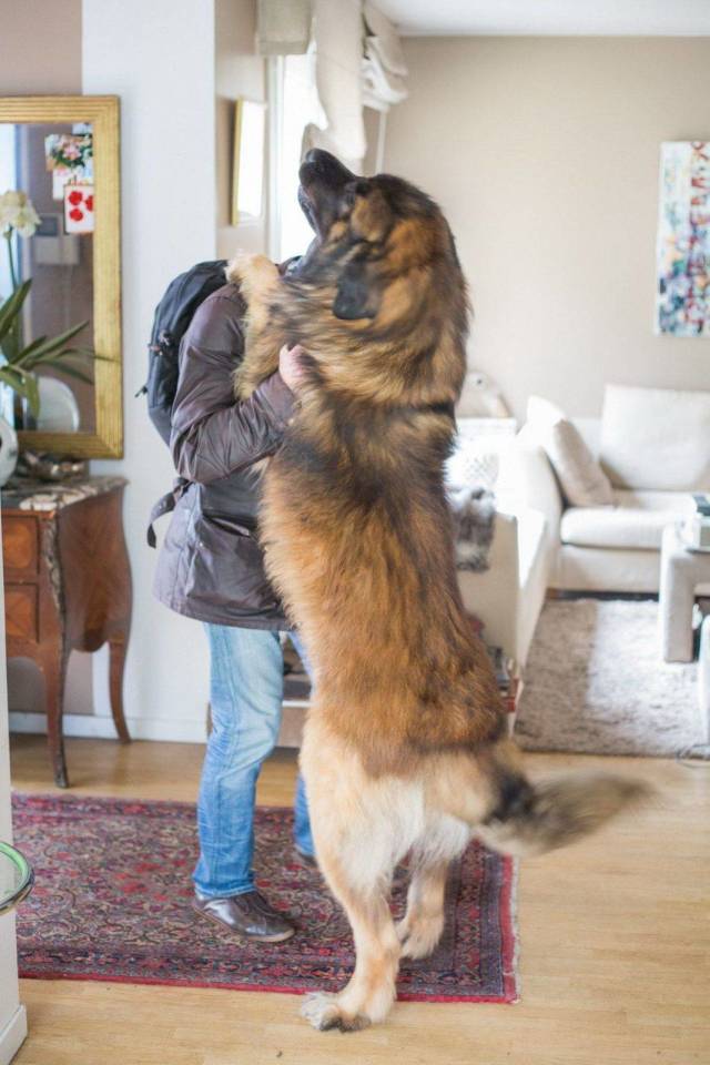 Daily Picdump