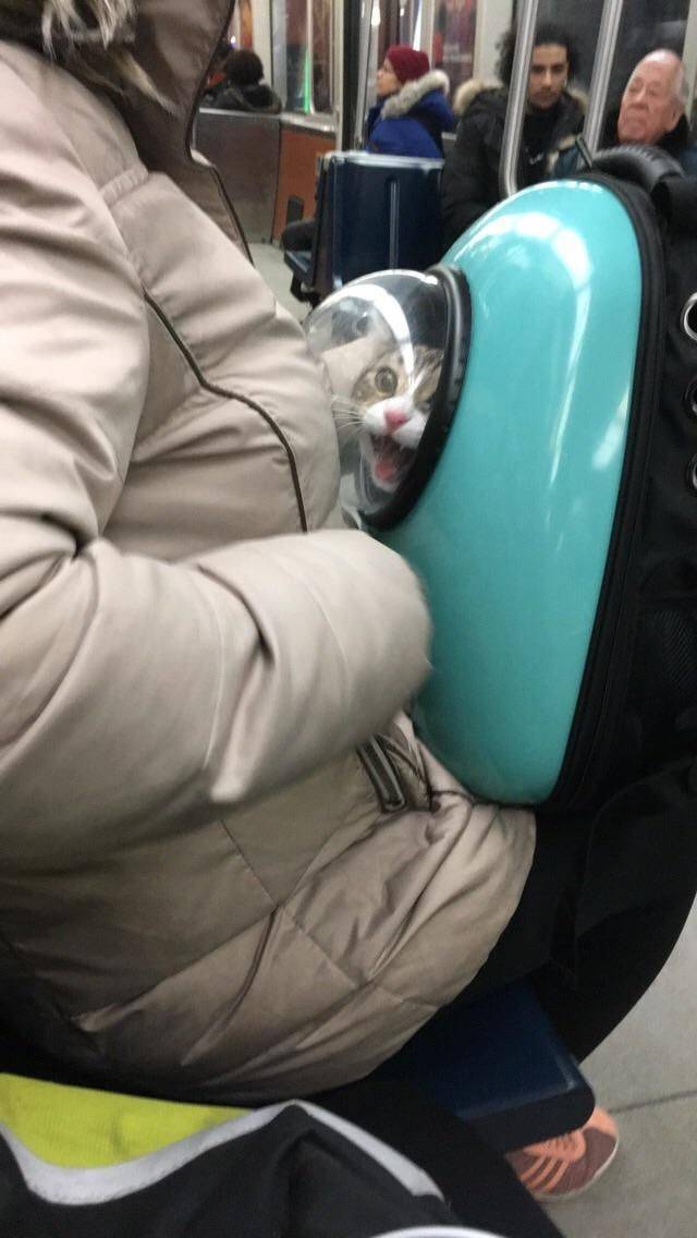 daily picdump 100 pics 28.html - 100 HD Photos | Premium Gallery 2018