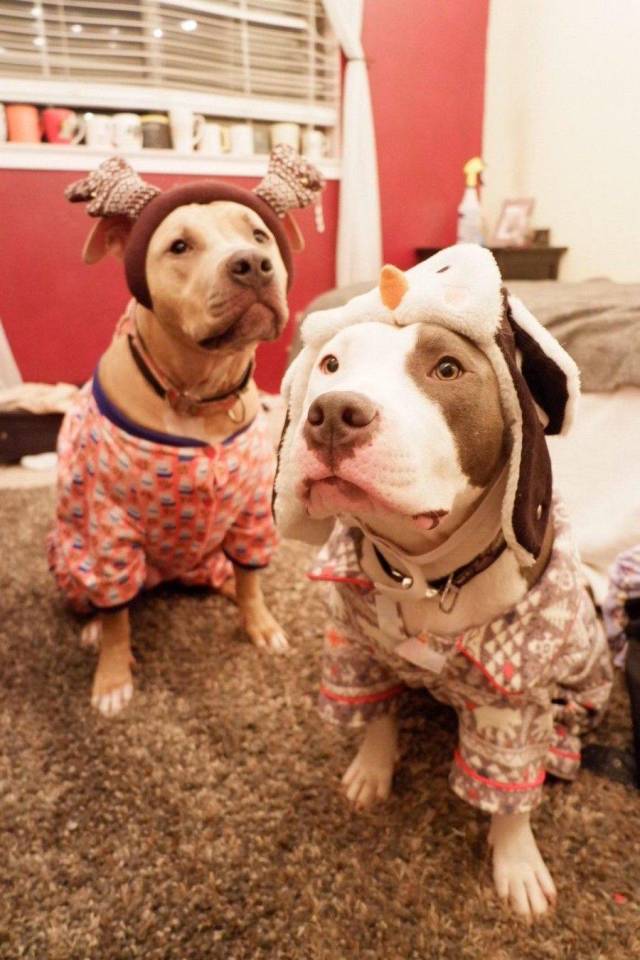 daily picdump 100 pics 28.html - 100 HD Photos | Premium Gallery 2018