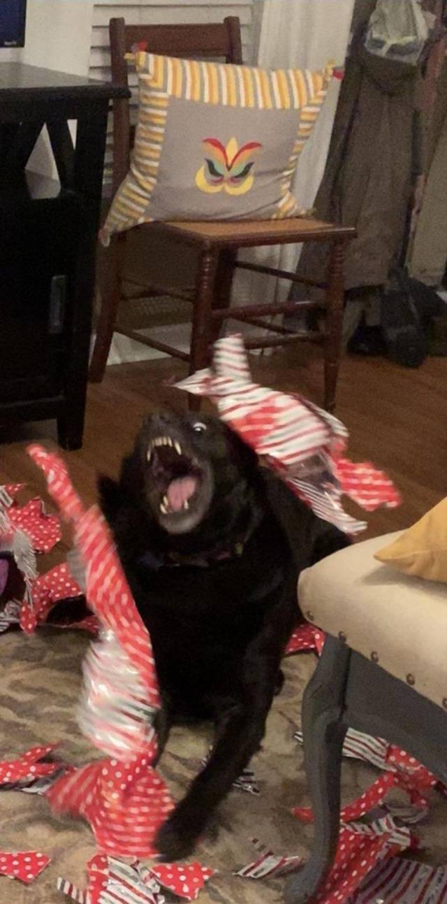 daily picdump 100 pics 28.html - 100 HD Photos | Premium Gallery 2018