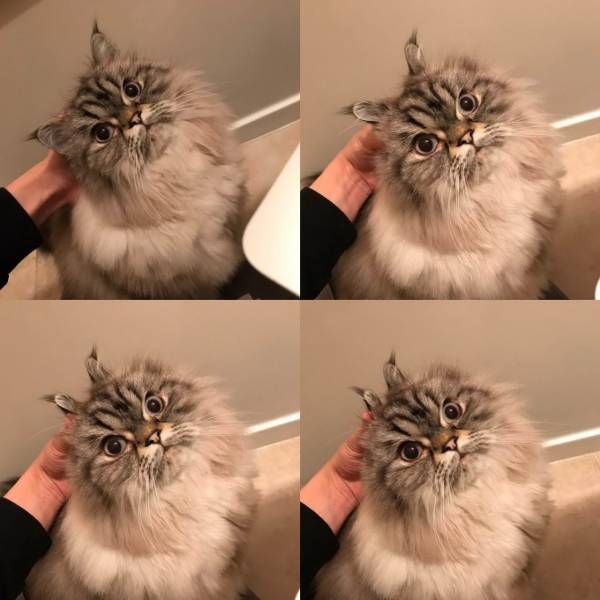 daily picdump 99 pics 39.html - 99 HD Photos | Premium Gallery 2018