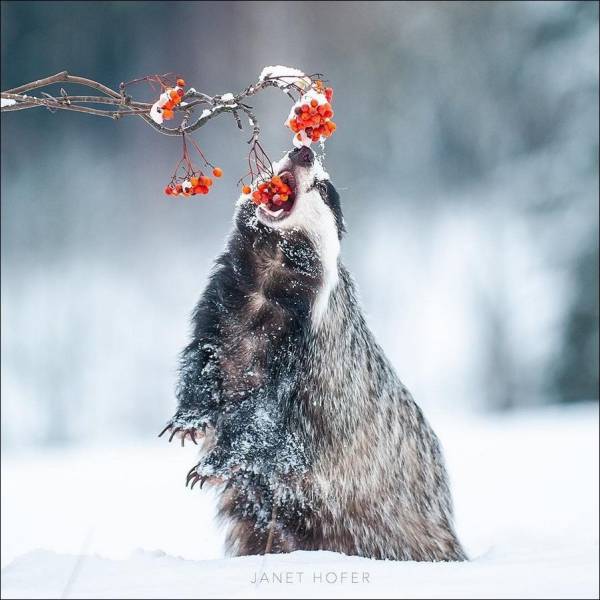 daily picdump 99 pics 39.html - 99 HD Photos | Premium Gallery 2018