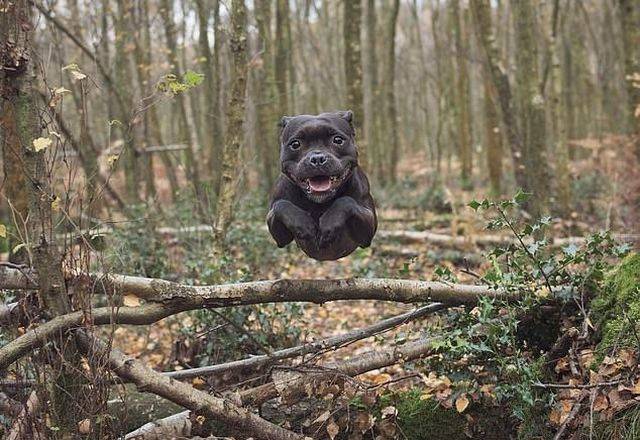 daily picdump 99 pics 39.html - 99 HD Photos | Premium Gallery 2018