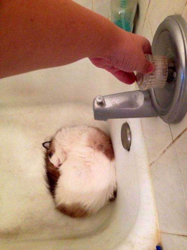 daily picdump 99 pics 39.html - 99 HD Photos | Premium Gallery 2018