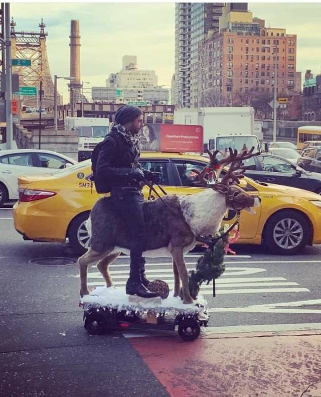 morning picdump 59 pics 10.html - 59 HD Photos | Premium Gallery 2018