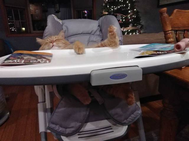 daily picdump 98 pics 32.html - 98 HD Photos | Premium Gallery 2018