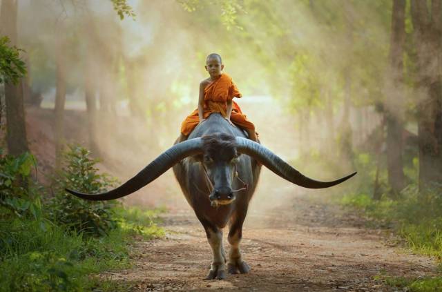 daily picdump 98 pics 32.html - 98 HD Photos | Premium Gallery 2018