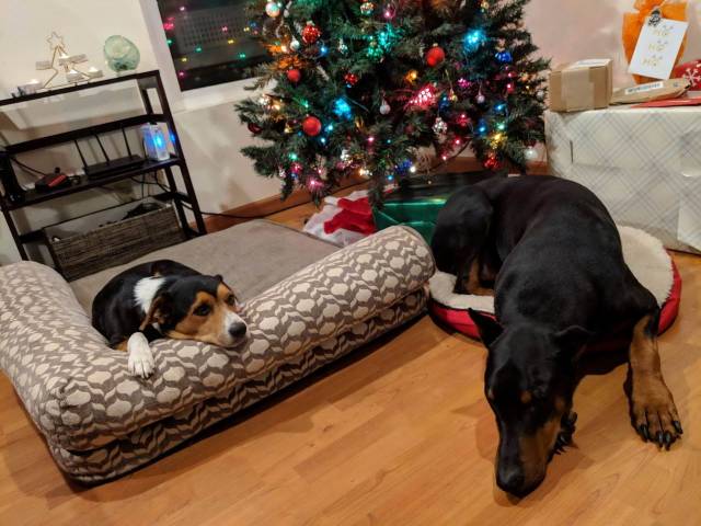 daily picdump 98 pics 32.html - 98 HD Photos | Premium Gallery 2018