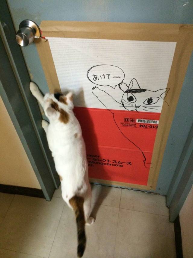 daily picdump 98 pics 32.html - 98 HD Photos | Premium Gallery 2018