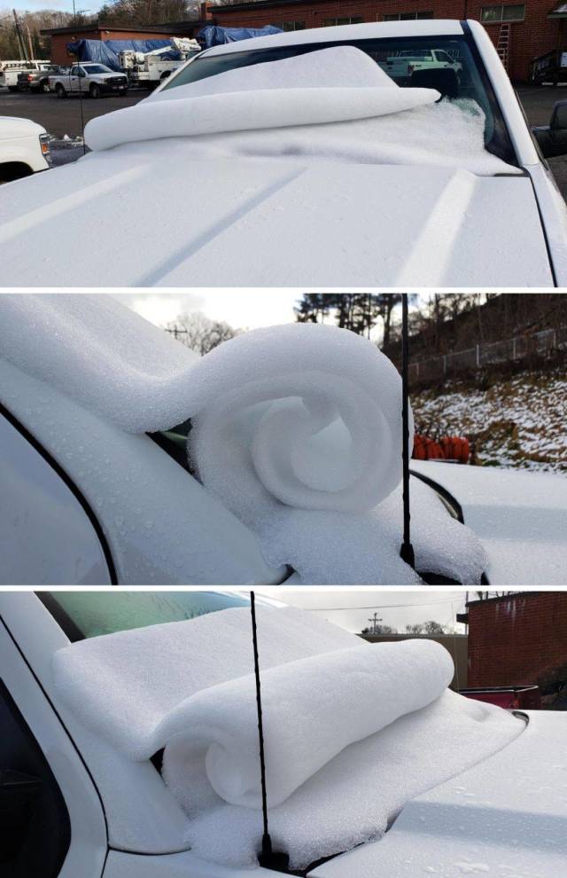 daily picdump 98 pics 32.html - 98 HD Photos | Premium Gallery 2018