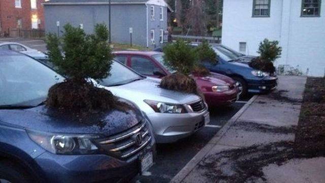 Sadly, A##holes Don’t Disappear On Christmas