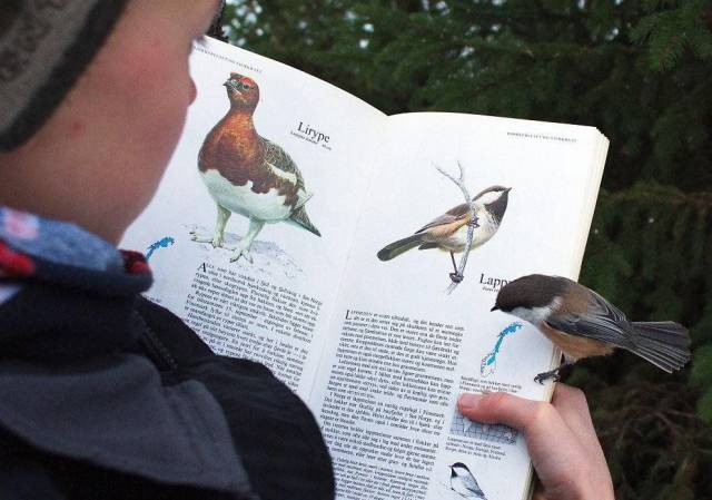 Daily Picdump [NEW YEAR EDITION]