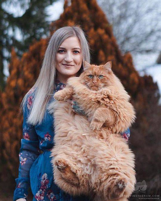 daily picdump weekend edition 52 pics 15.html - 52 HD Photos | Premium Gallery 2019