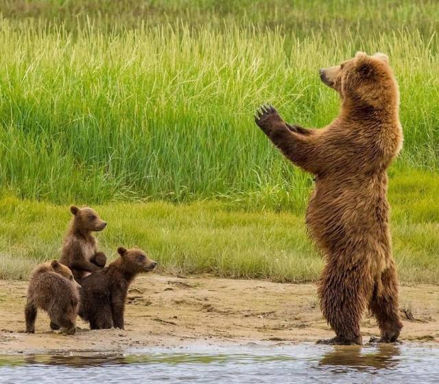 daily picdump 96 pics 30.html - 96 HD Photos | Premium Gallery 2019