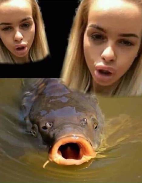 Funny Picdump