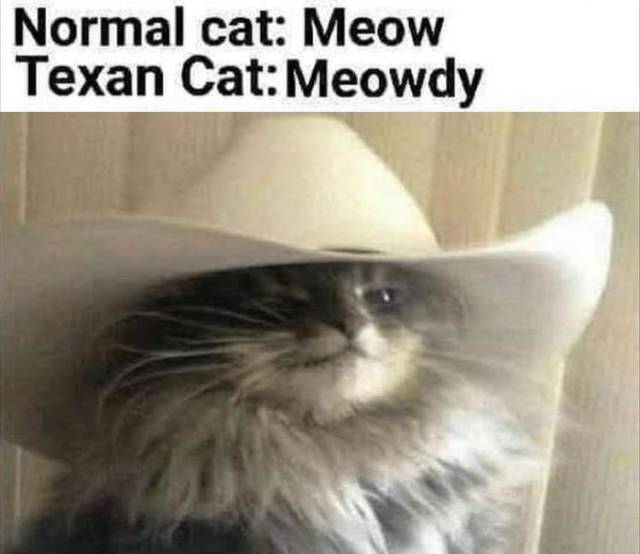 funny picdump 57 pics 9.html - 57 HD Photos | Premium Gallery 2019