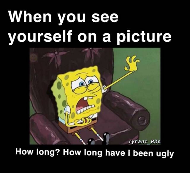 funny picdump 57 pics 9.html - 57 HD Photos | Premium Gallery 2019