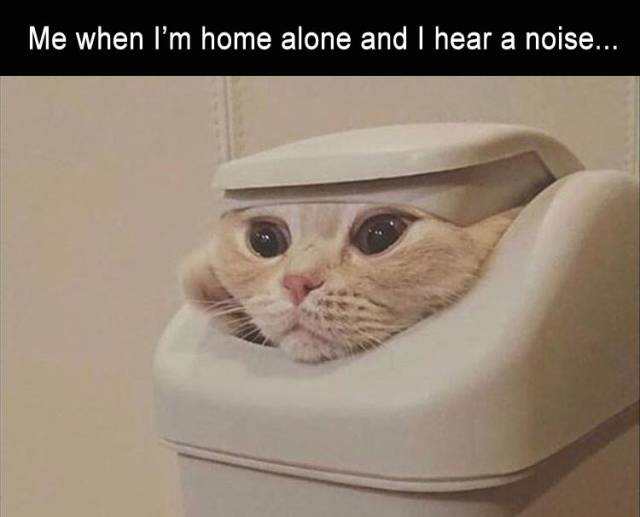 funny picdump 57 pics 9.html - 57 HD Photos | Premium Gallery 2019