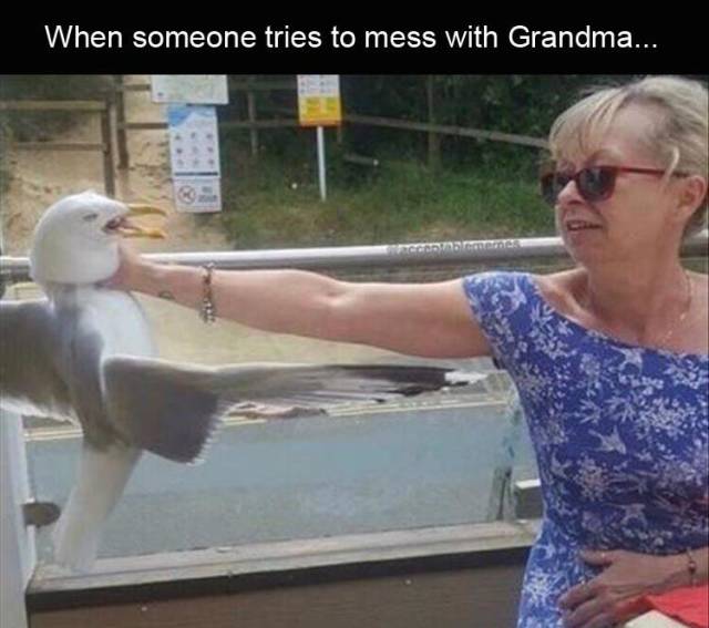 funny picdump 57 pics 9.html - 57 HD Photos | Premium Gallery 2019