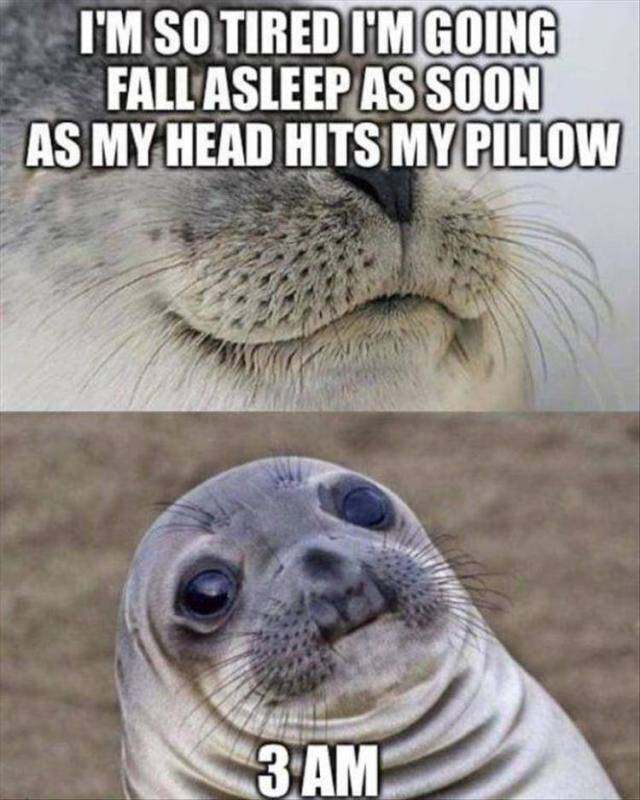 funny picdump 57 pics 9.html - 57 HD Photos | Premium Gallery 2019