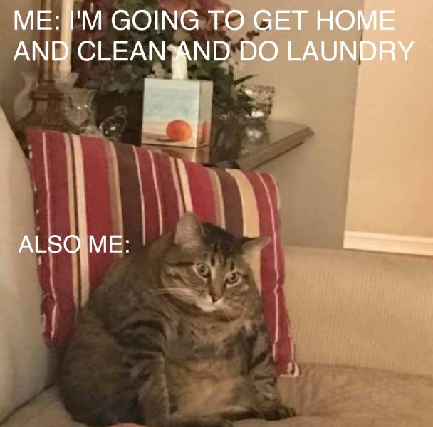 funny picdump 53 pics 25.html - 53 HD Photos | Premium Gallery 2019