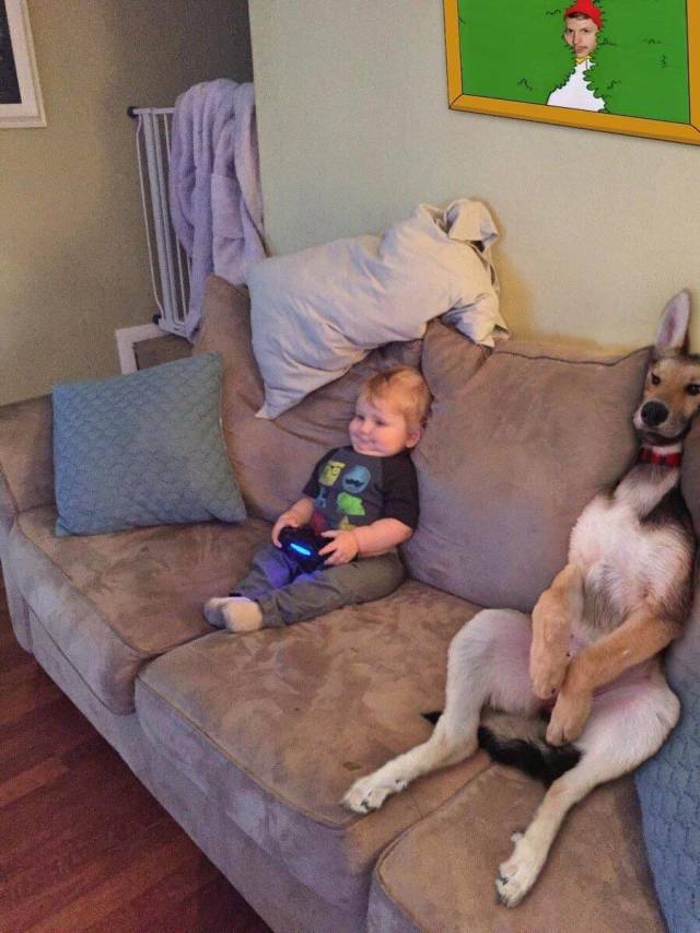 daily picdump weekend edition 63 pics 25.html - 63 HD Photos | Premium Gallery 2019