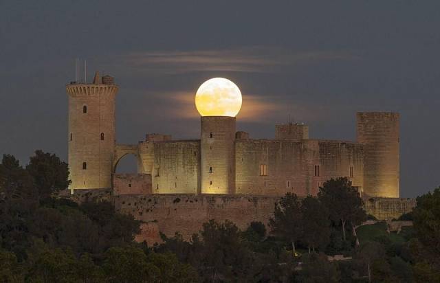 page,19,top 750 daily pics of the year 2019.html - 1 HD Photos | Premium Gallery 2019